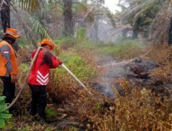 Kebakaran Lahan Sawit di Nagan Raya Capai 40 Hektare