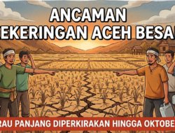 Kemarau Panjang Ancam Sawah Aceh Besar, Warga Minta Antisipasi Diperkuat