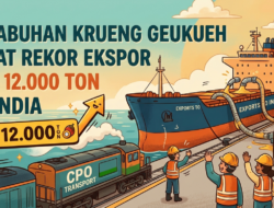 Pelabuhan Krueng Geukueh Catat Rekor Ekspor CPO 12.000 Ton ke India