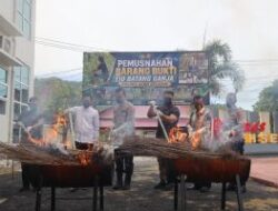 Penindakan Narkotika, Polres Aceh Selatan Musnahkan Ganja Hasil Sitaan