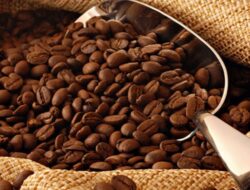 Kemenkum Aceh Temukan Praktik Pemalsuan Label Produk Kopi Gayo