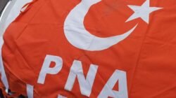 PNA