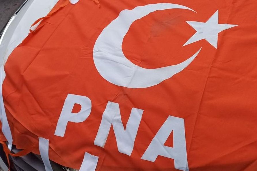 PNA