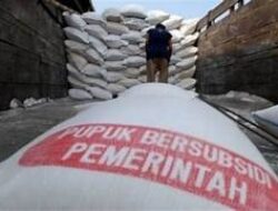Polisi Tangkap 3 Tersangka Penyalahgunaan Pupuk Subsidi di Nagan