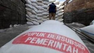 Pupuk Subsidi
