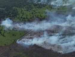 17 Hektare Lahan Restorasi di SM Rawa Singkil Terbakar
