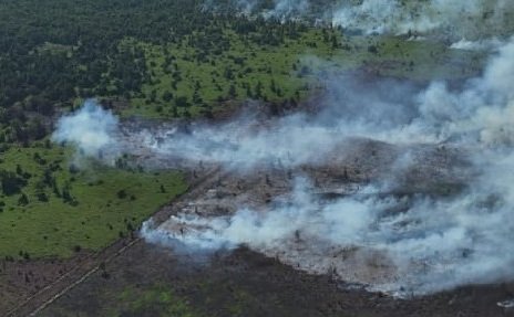 17 Hektare Lahan Restorasi di SM Rawa Singkil Terbakar