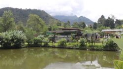 Dari Lahan Terbengkalai Jadi Wisata Alam, Wih Pesam Punya Magnet Baru