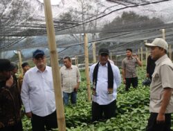 Mentan Tambah 17 Juta Bibit Kopi untuk Aceh, Perkuat Produksi Kopi Gayo