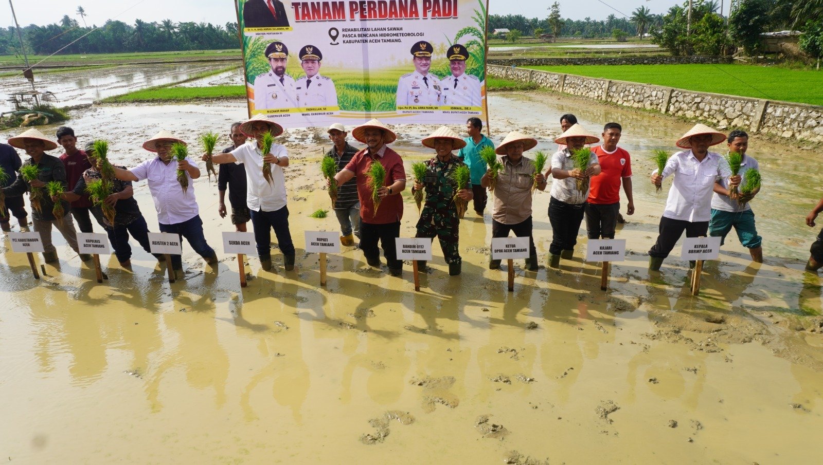 Pemulihan Lahan Pertanian Aceh Dipacu, Ribuan Hektare Sawah Mulai Kembali Ditanami