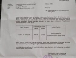 PLN Padamkan Listrik di Seluruh Abdya pada 25 Juli, Ini Penyebabnya
