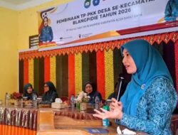 Pembinaan TP PKK Desa di Abdya Gunakan Skema Jemput Bola