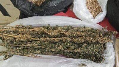 bb ganja