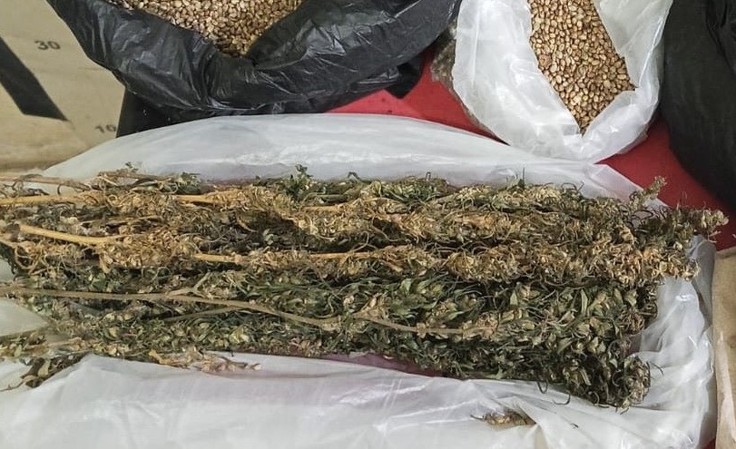 Polisi Tangkap Tiga Tersangka Peredaran Ganja di Aceh Selatan