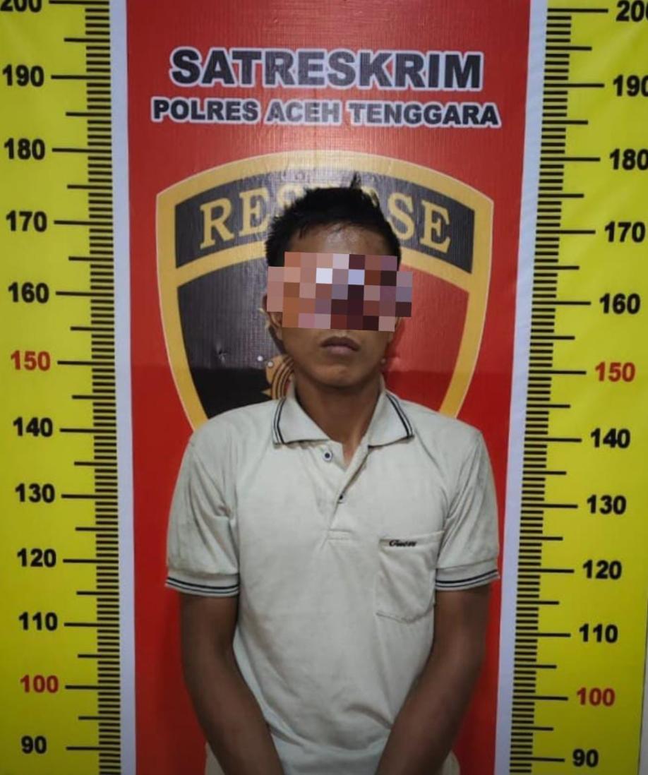 Laporan Warga, Pelaku Curas di Lawe Bulan Ditangkap Polisi