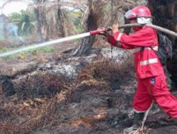 Satu Regu Manggala Agni Dikerahkan untuk Padamkan Karhutla di Nagan