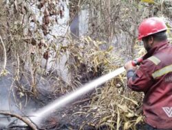 Kebakaran Lahan di Aceh Selatan Capai 28 Hektare