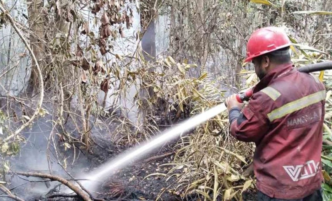 Kebakaran Lahan di Aceh Selatan Capai 28 Hektare