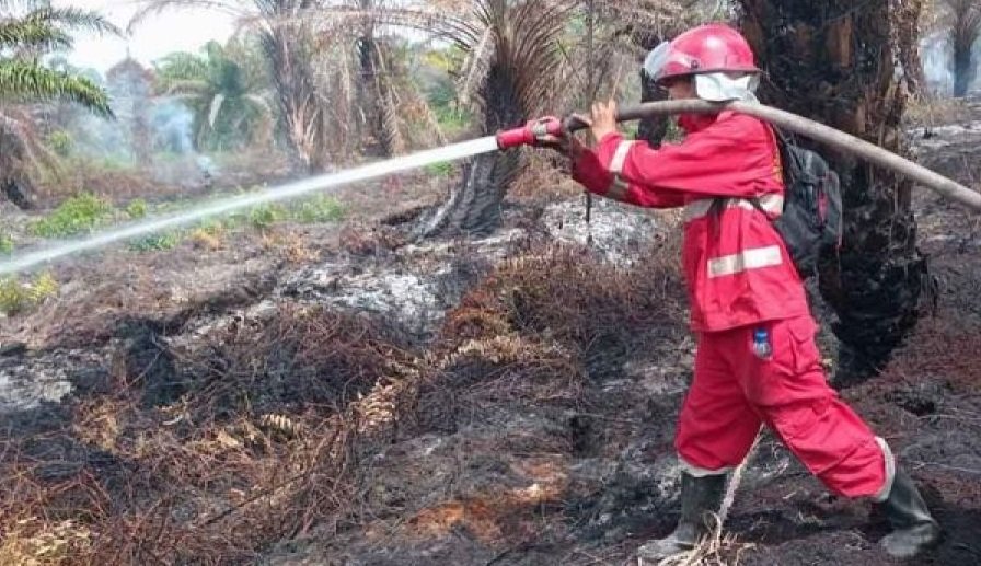 Satu Regu Manggala Agni Dikerahkan untuk Padamkan Karhutla di Nagan