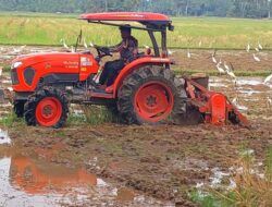 Pemkab Aceh Selatan Gratiskan Biaya Bajak Sawah
