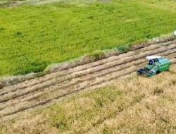 Pemkab Aceh Jaya Cetak 1.000 Hektare Sawah Baru
