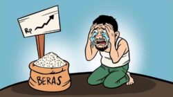 Harga Beras Naik