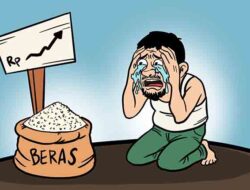 Harga Beras di Lhokseumawe Naik Rp10 Ribu/Sak