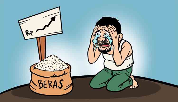Harga Beras Naik