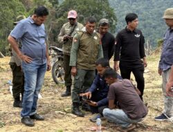 KPH Gelar Patroli ke Lokasi Perambahan Hutan di Peulimbang