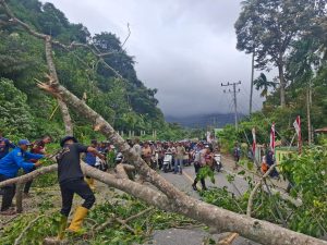 Pohon Tumbang Sempat Lumpuhkan Jalur Nasional di Aceh Selatan