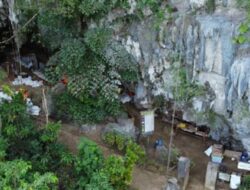 Homo Sapiens dan Hominin Arkais Diduga Pernah Hidup Sezaman di Sulawesi