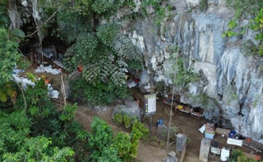 Homo Sapiens dan Hominin Arkais Diduga Pernah Hidup Sezaman di Sulawesi