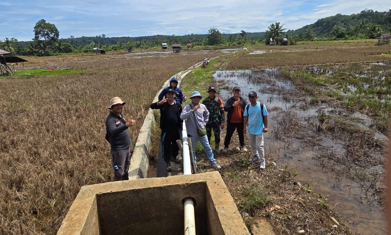 Optimalisasi sawah