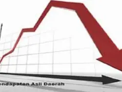 PAD Simeulue Tak Capai Target, Pembiayaan Belanja Daerah Terancam