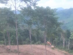 Perambahan Hutan di Peulimbang Sebabkan Konflik Antarwarga