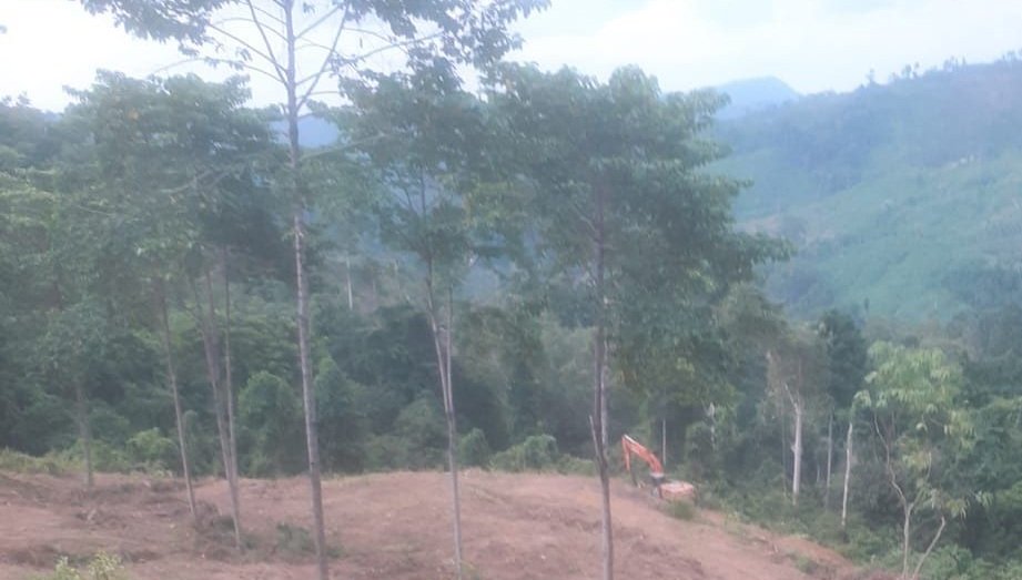 Perambahan Hutan Peulimbang