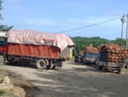 Harga TBS Sawit di Aceh Barat Naik, Rata-rata di Atas Rp3.000/Kg