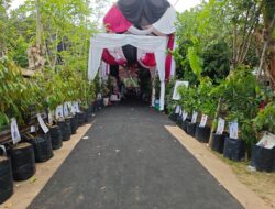 Dari Papan Bunga ke Pohon, Tradisi Baru Ucapan Selamat