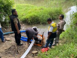 Lima Hektare Sawah di Keumireu Disokong Pompa Air