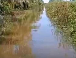 Petani Sawit di Babahrot Keluhkan Banjir, Soroti Saluran Pembuangan PT CA