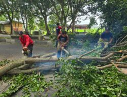 Angin Kencang Terjang Aceh Besar, 7 Kejadian Baru Dilaporkan