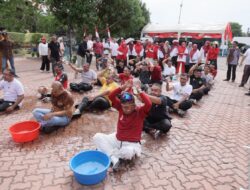 Dari Estafet hingga Tarik Tambang, Keluarga Besar Meuligoe Semarakkan HUT RI