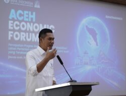 57.485 Hektare Sawah Terdampak Bencana, Pemprov Aceh Percepat Pemulihan