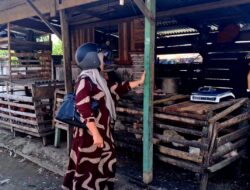Jelang Maulid, Ayam Potong di Pasar Kutacane Dijual Rp45.000 per Kilogram