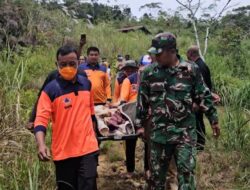 Tiga Tahun Lumpuh dan Tinggal di Rumah Kebun, Jumino Dievakuasi ke RSU Datu Beru