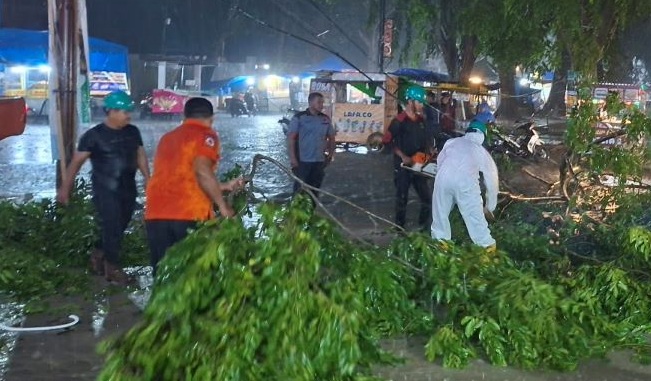 Kota Langsa Diterjang Badai, Pohon Bertumbangan di 7 Lokasi