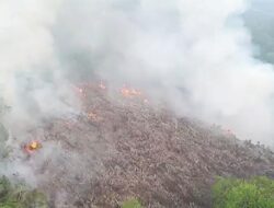 Karhutla di Kalbar Capai 802 Hektare, 370 Hektare Lahan Masih Terbakar