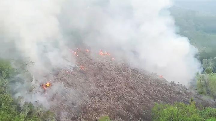 Karhutla di Kalbar Capai 802 Hektare, 370 Hektare Lahan Masih Terbakar
