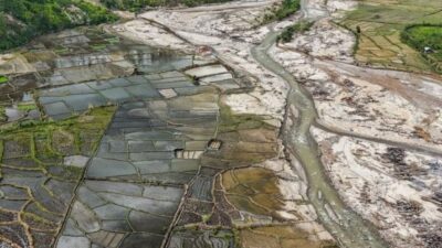 Sawah terdampak bencana