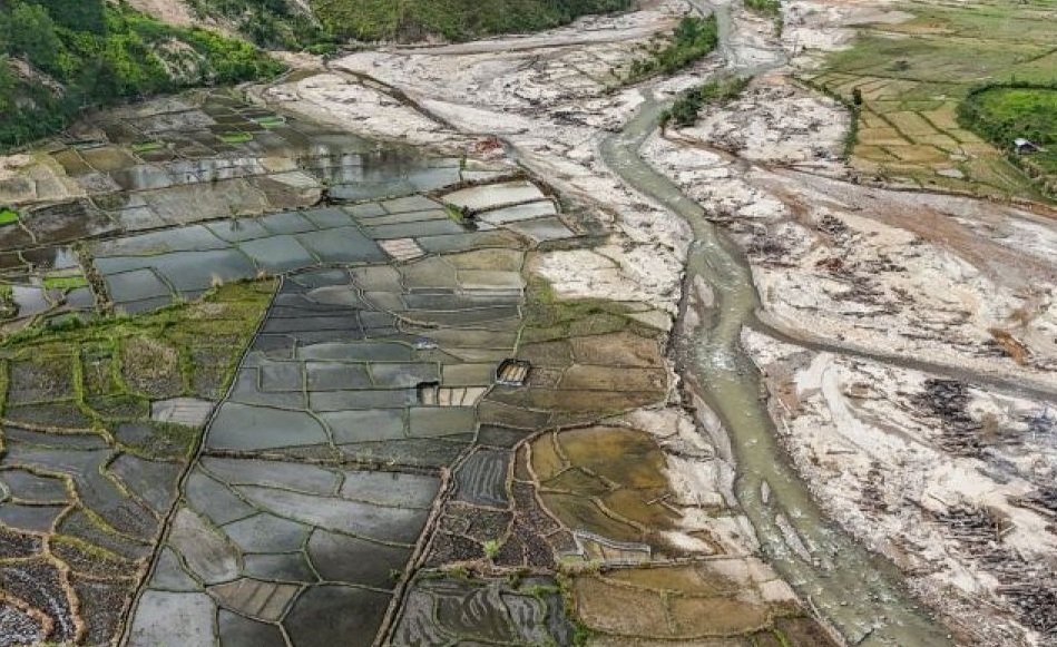 Sawah terdampak bencana